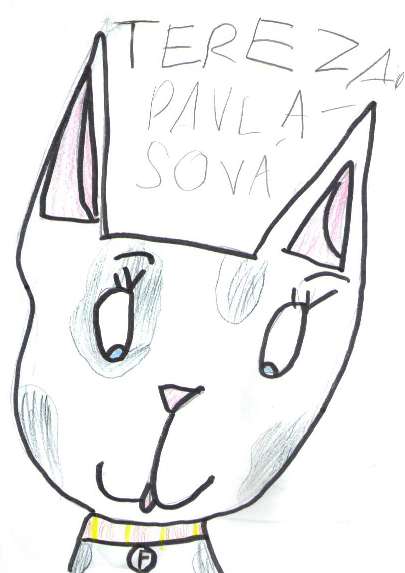 26